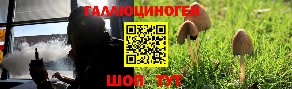 Губаха  Псилоцибиновые грибы GOLDEN TEACHER  Вход с VPN 